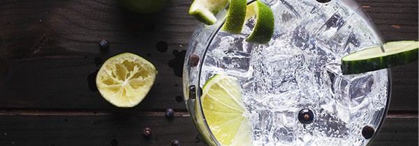 Overhead image of a glass of gin and tonic